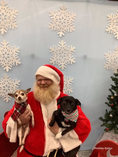 Gallery photo 1 of Santa Gene