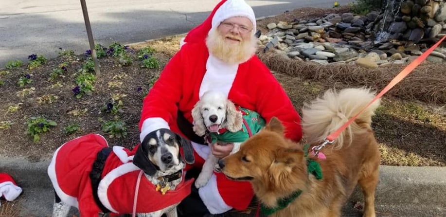 Gallery photo 2 of Santa Gene