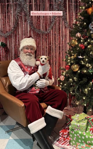 Gallery photo 3 of Santa Gene