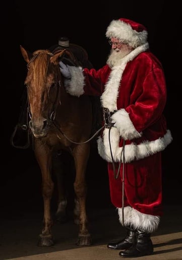Gallery photo 1 of Santa George