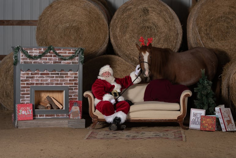 Gallery photo 2 of Santa George
