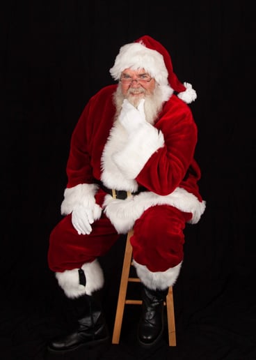 Gallery photo 5 of Santa George & Friends