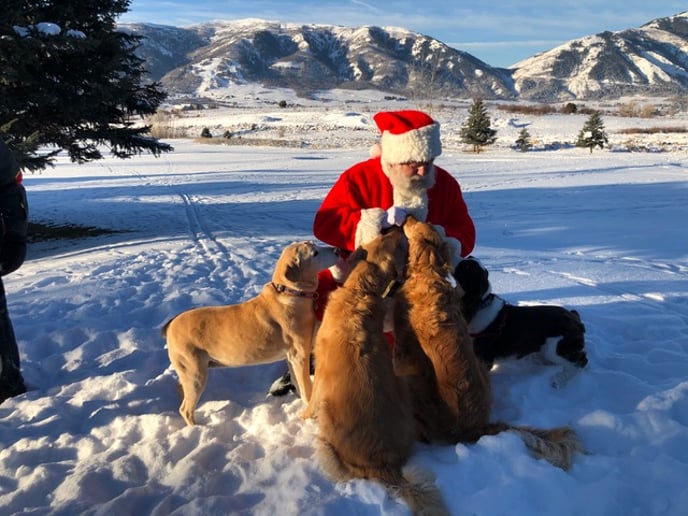 Gallery photo 2 of Santa George