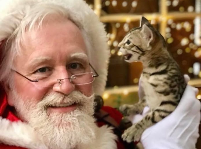 Gallery photo 1 of Santa Gordon