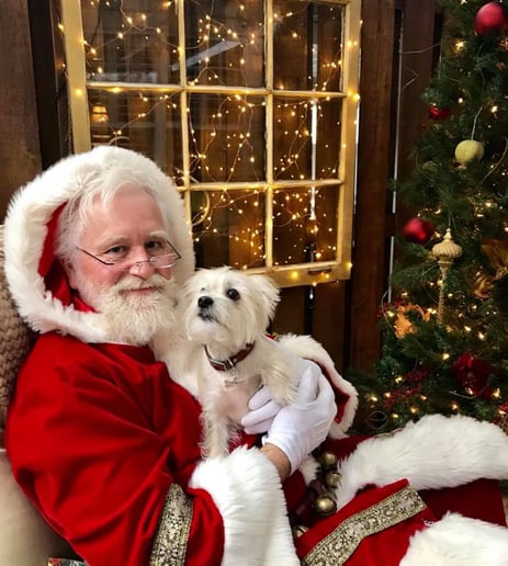 Gallery photo 10 of Santa Gordon