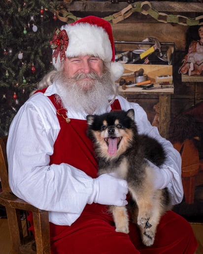 Gallery photo 4 of Santa Edwin
