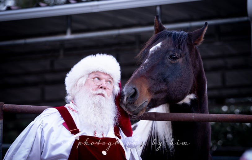 Gallery photo 4 of Santa Greg