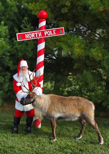 Gallery photo 3 of Santa Greg