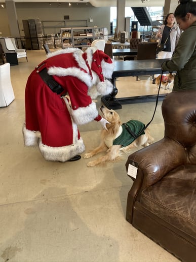 Gallery photo 2 of Santa August