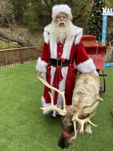 Gallery photo 4 of Santa August