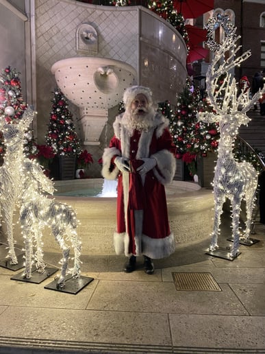 Gallery photo 6 of Santa August