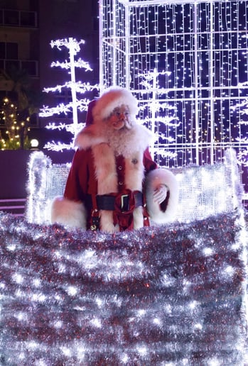 Gallery photo 7 of Santa August