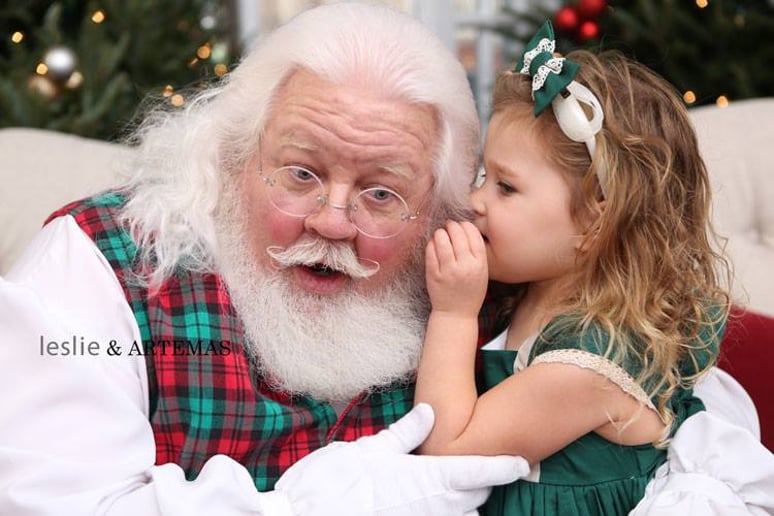 Gallery photo 10 of Santa Guy