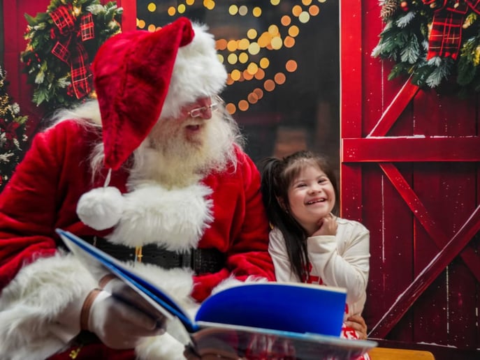 Gallery photo 2 of Santa Hank