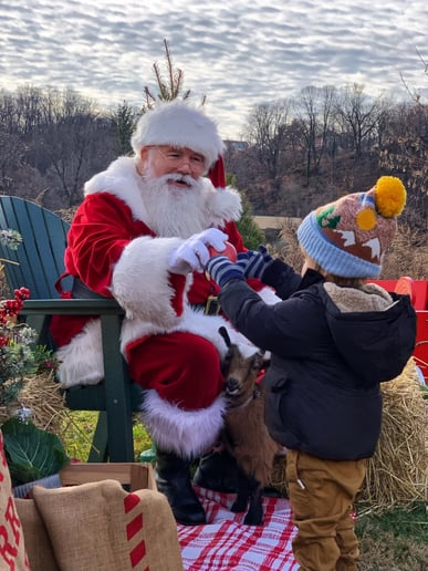 Gallery photo 13 of Santa Harry