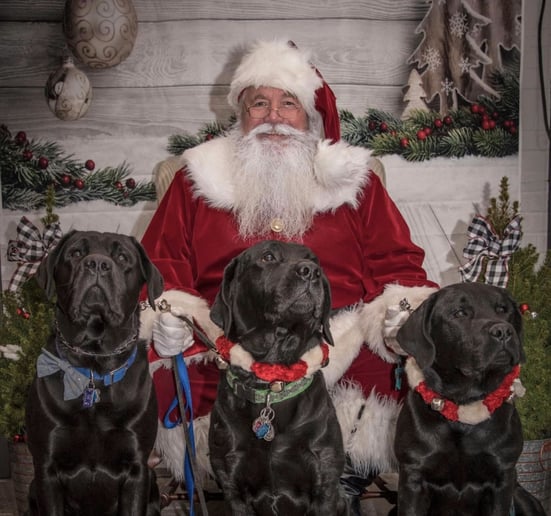 Gallery photo 14 of Santa Harry
