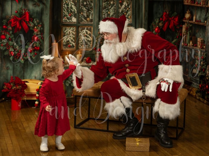 Gallery photo 4 of Santa Harry