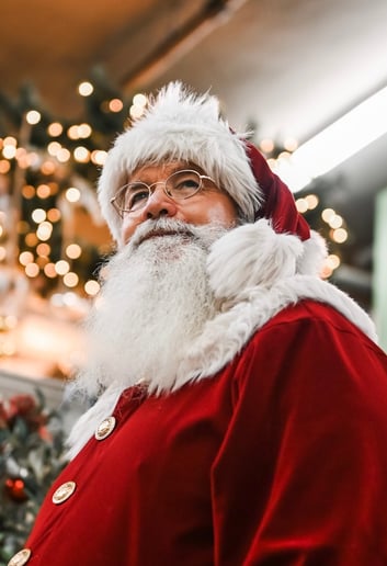 Gallery photo 2 of Santa Harry
