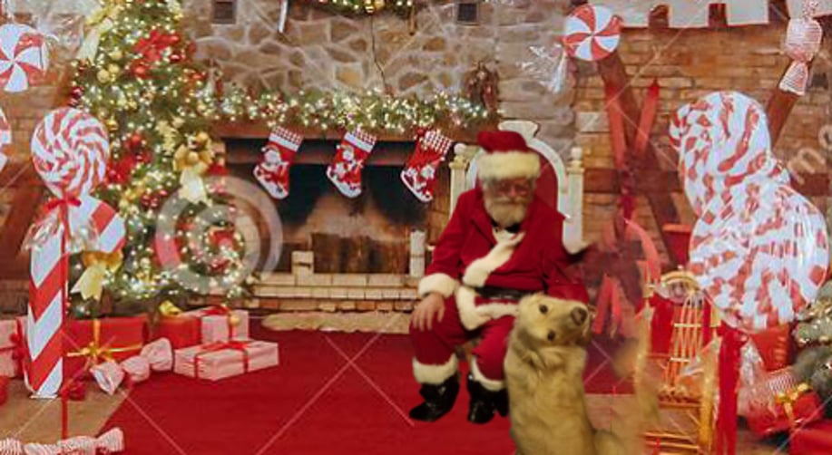 Gallery photo 5 of Santa Helper Bob