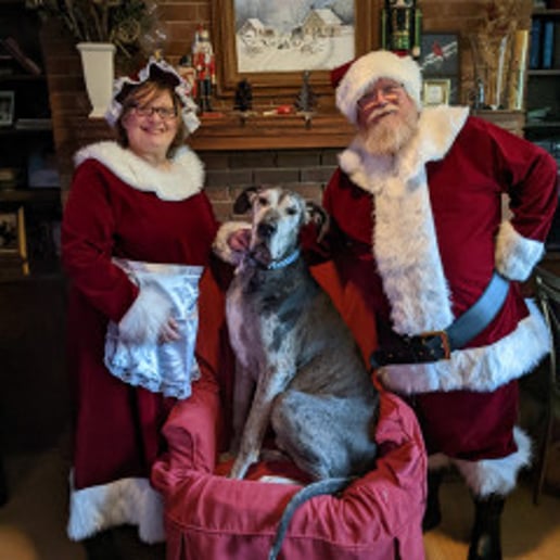 Gallery photo 10 of Santa Helper Bob