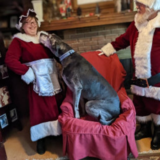 Gallery photo 13 of Santa Helper Bob
