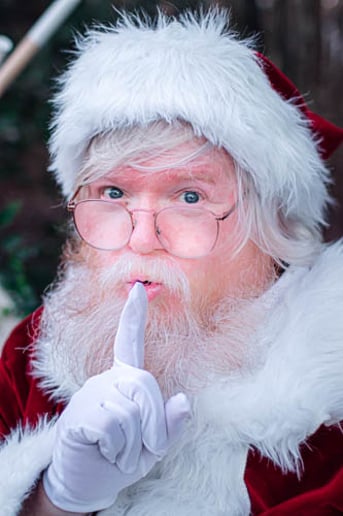 Gallery photo 8 of Santa Helper Bob