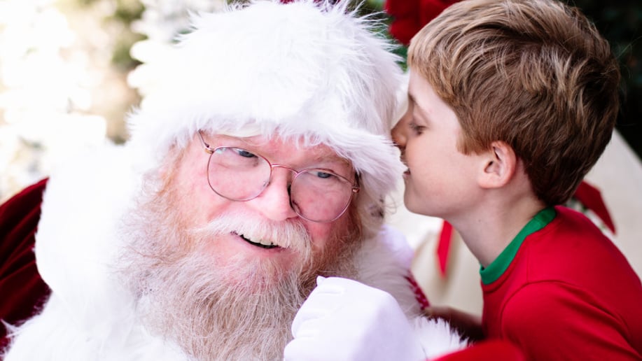 Gallery photo 6 of Santa Helper Bob