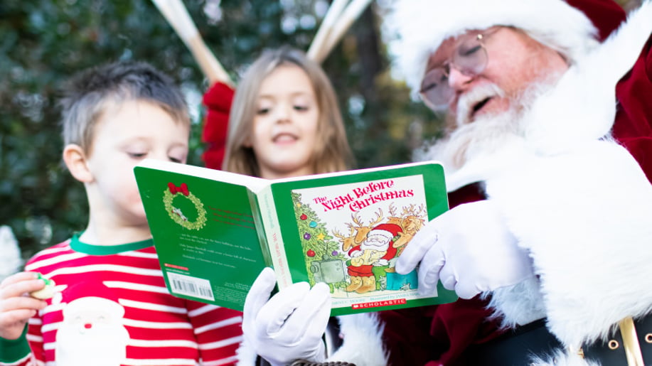 Gallery photo 7 of Santa Helper Bob