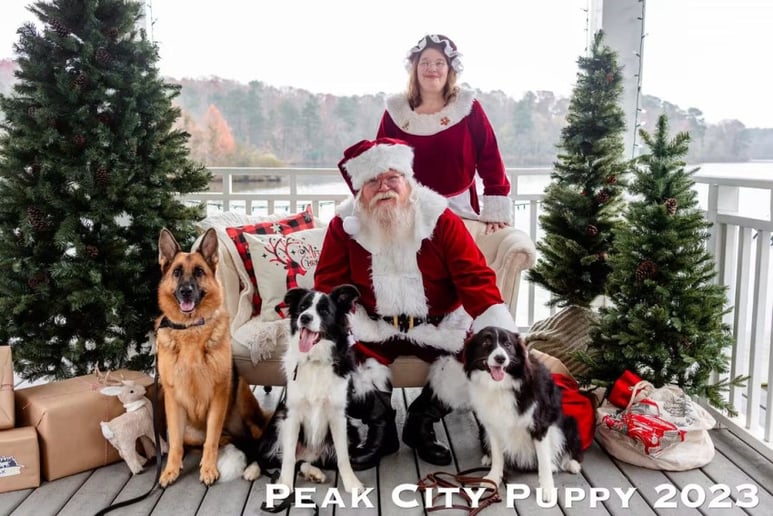 Gallery photo 21 of Santa Helper Bob