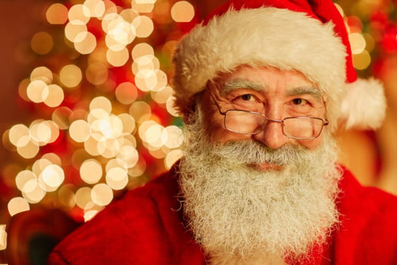 Gallery photo 1 of Santa Herb