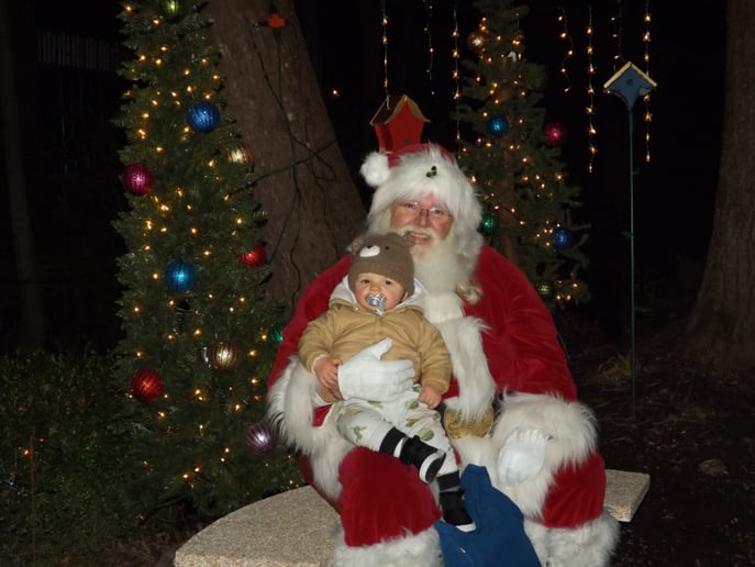 Gallery photo 1 of Santa Hickory
