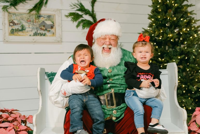 Gallery photo 1 of Santa Hoss