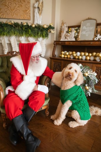 Gallery photo 10 of Santa of Katy