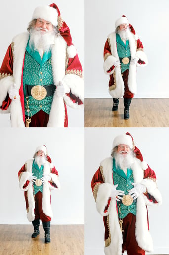 Gallery photo 6 of Santa in the Lou