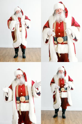 Gallery photo 8 of Santa in the Lou