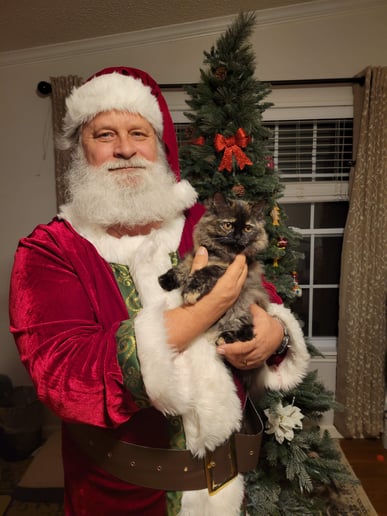 Gallery photo 3 of Memories with Santa