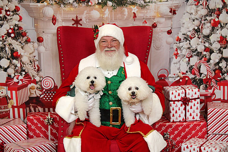 Gallery photo 1 of Santa J