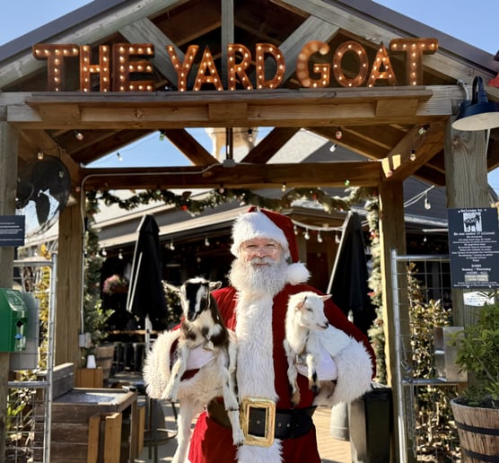 Gallery photo 8 of Santa J