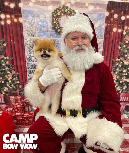 Gallery photo 10 of Santa J