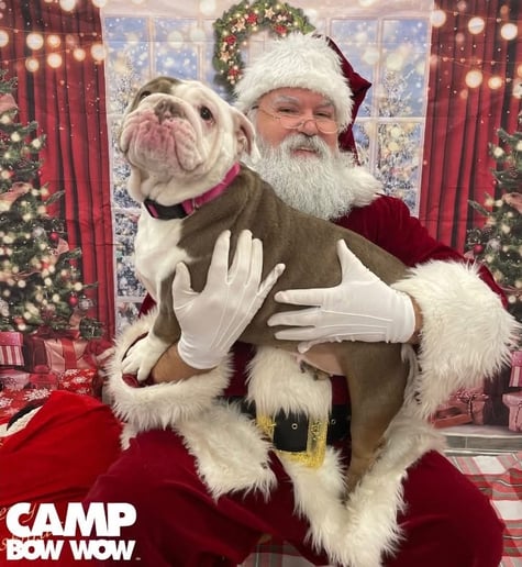 Gallery photo 9 of NOLA Santa
