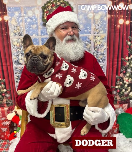 Gallery photo 12 of NOLA Santa