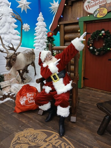 Gallery photo 8 of Santa James