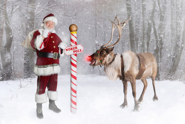 Gallery photo 7 of Santa James
