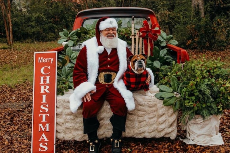 Gallery photo 5 of Santa Jamie