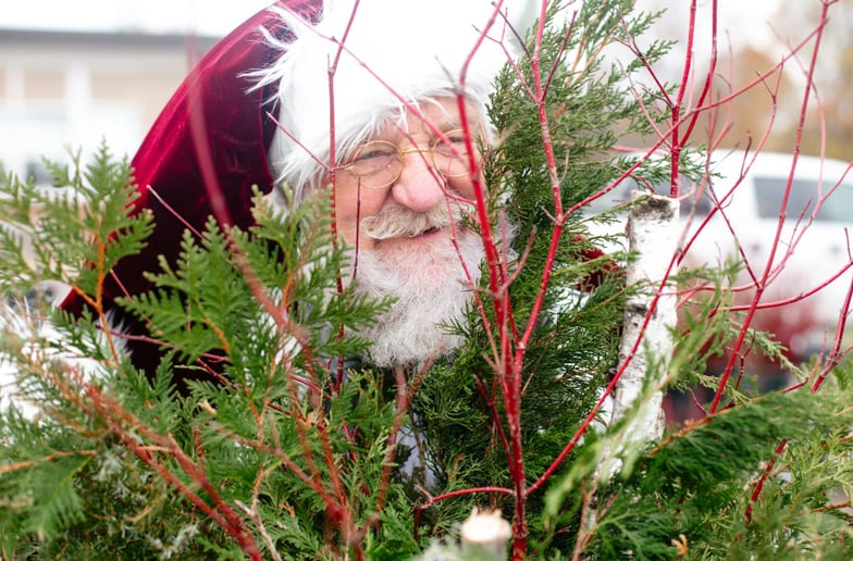 Gallery photo 4 of Santa Jamie