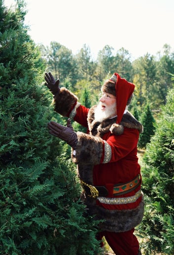 Gallery photo 3 of Santa Jared