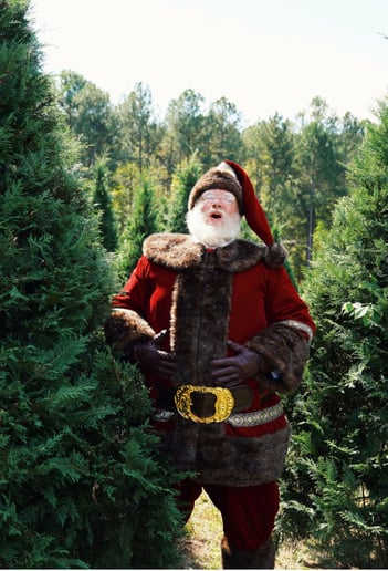 Gallery photo 5 of Santa Jared