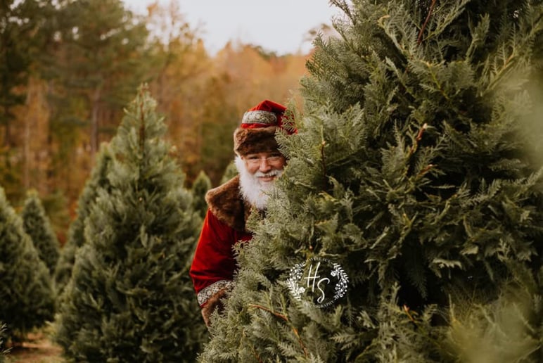 Gallery photo 6 of Santa Jared