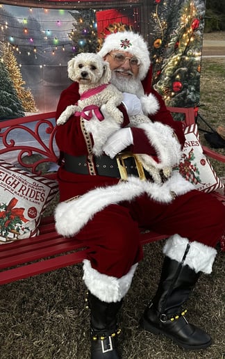 Gallery photo 4 of Santa Jay