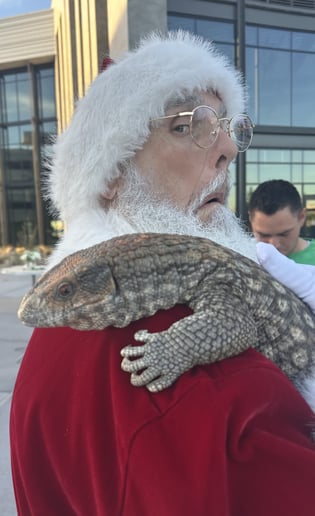 Gallery photo 9 of Santa Jay
